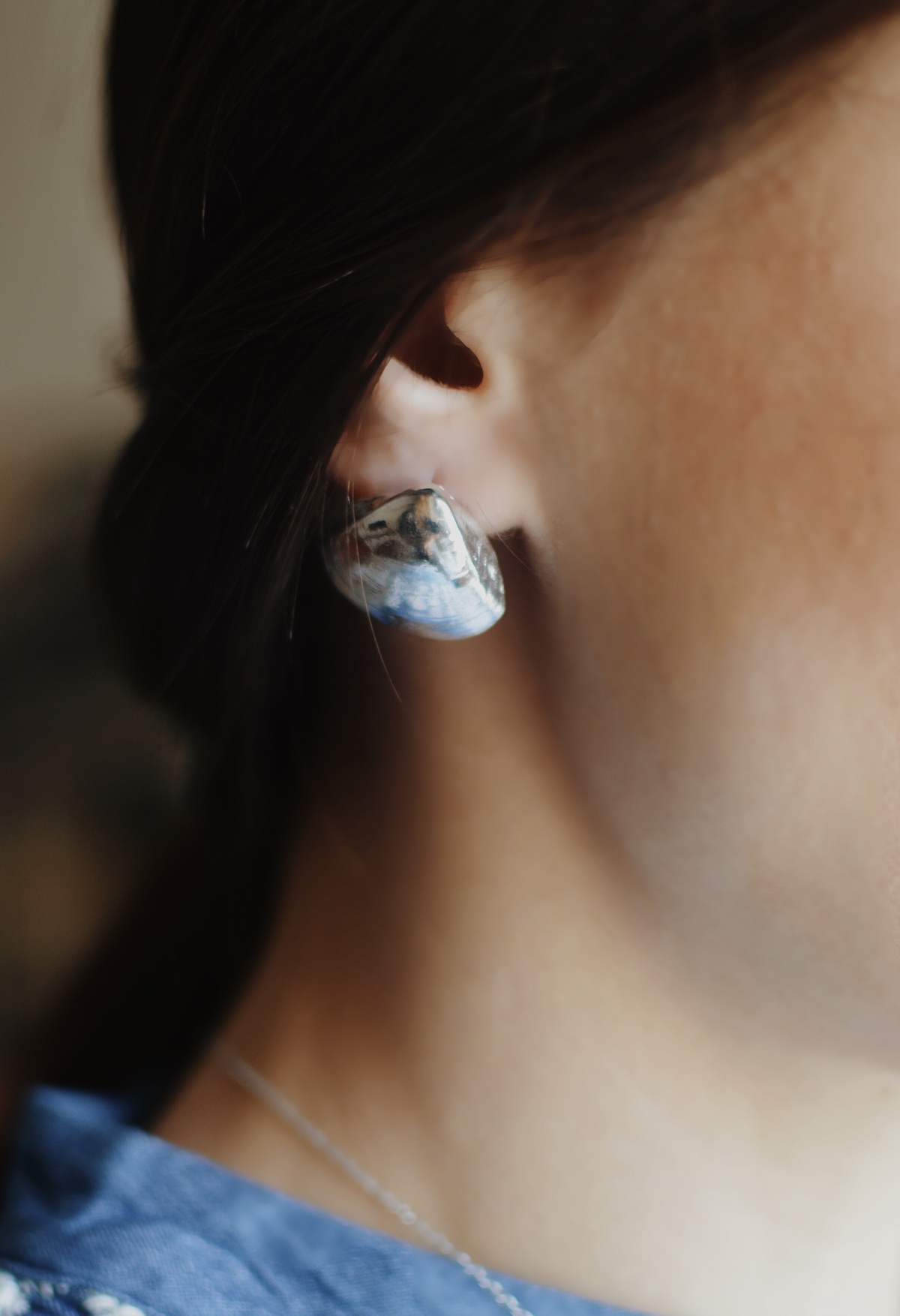 Sea shell earings Sea shell earings