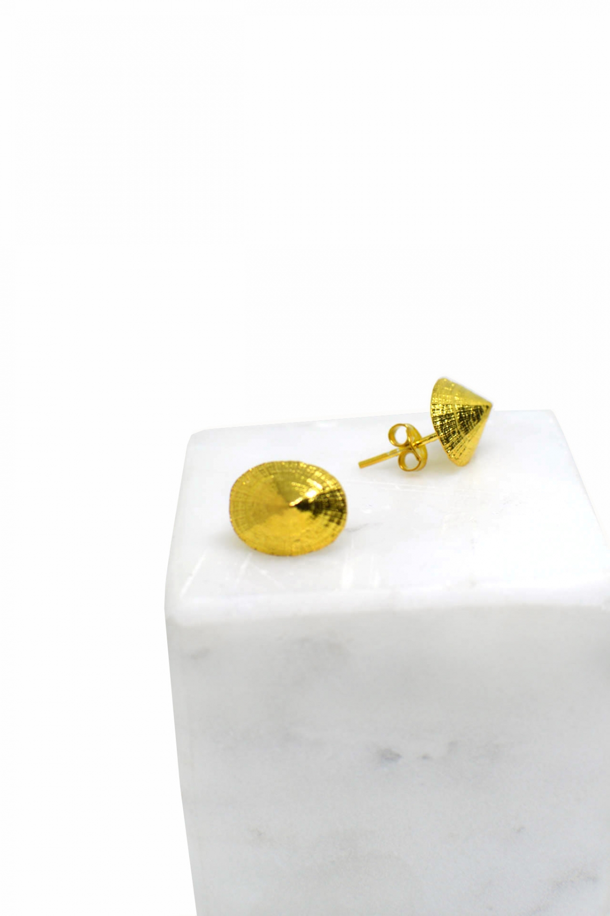 Sea shell earings Sea shell earings