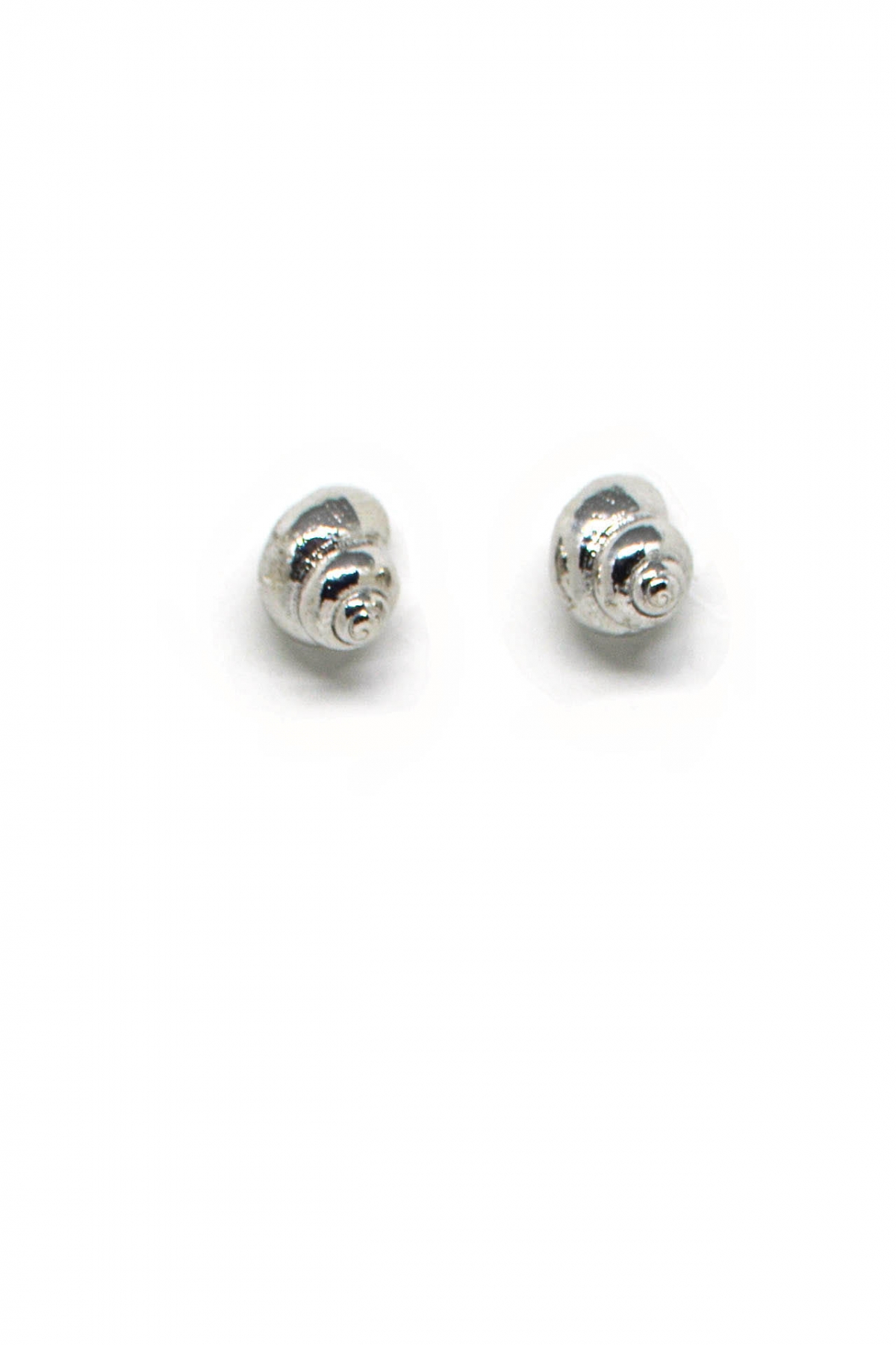 Sea shell earings Sea shell earings