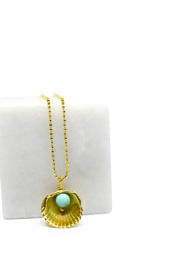 Sea shell necklace with turquoise stone Sea shell necklace with turquoise stone