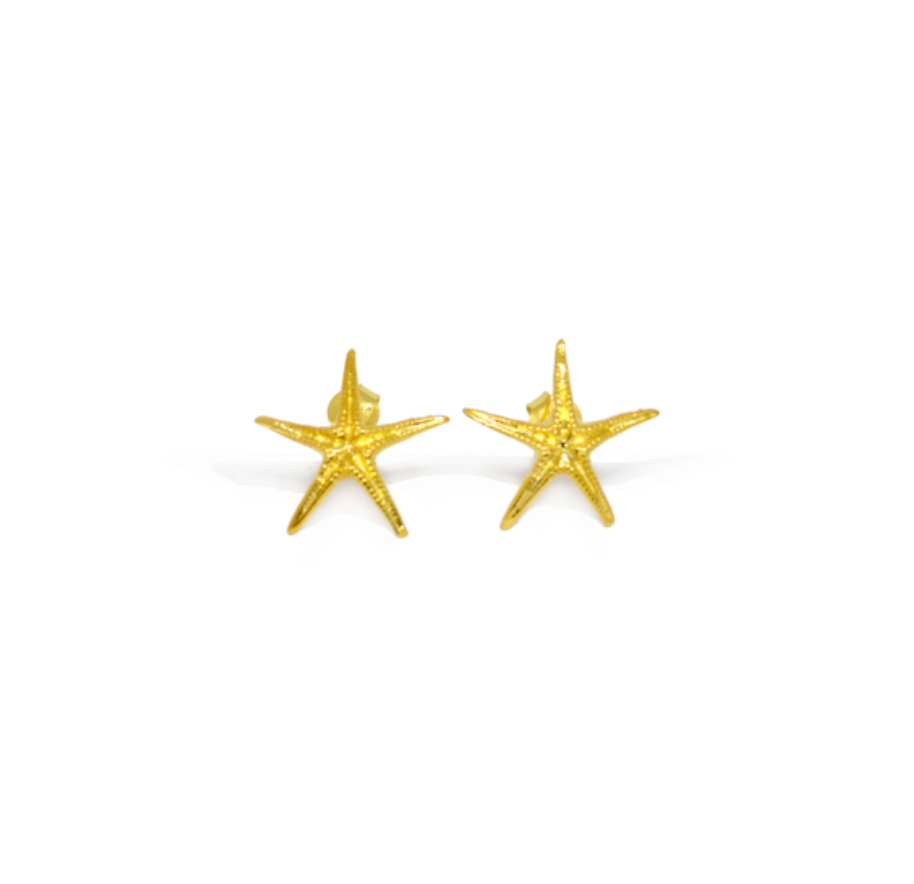 Sea star earings Sea star earings