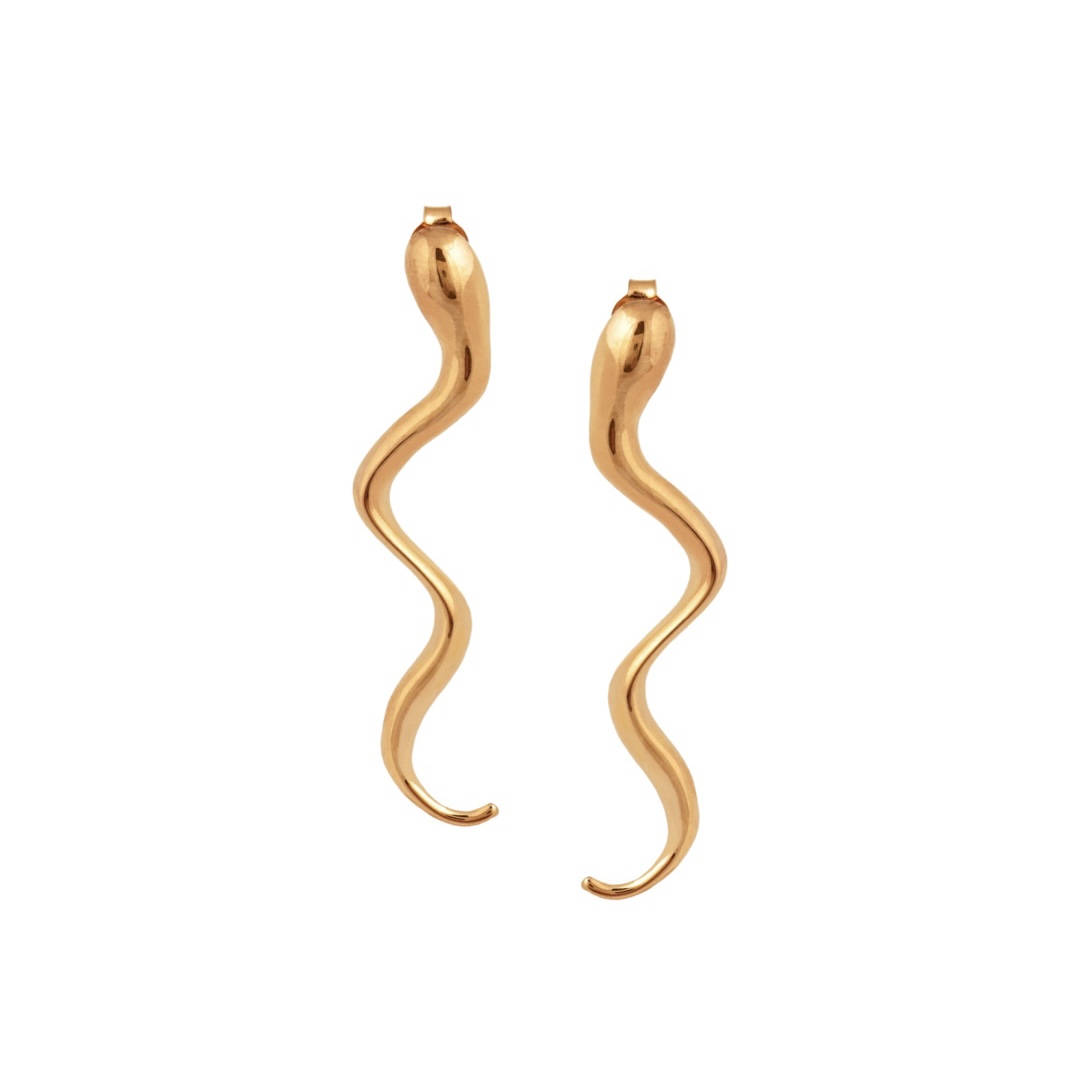 Snake Earrings Snake Earrings